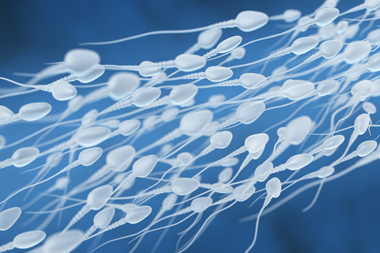 Spermien unterwäsche können durch Schwanger durch